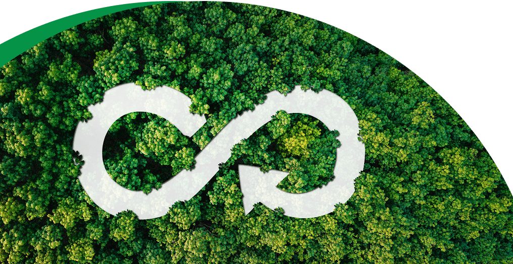 Bronze 2024 Ecovadis Sustainability Rating